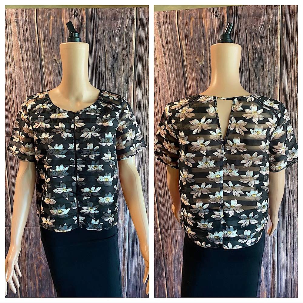 Anthropologie BCNU sz medium black white & pink floral striped mesh blouse